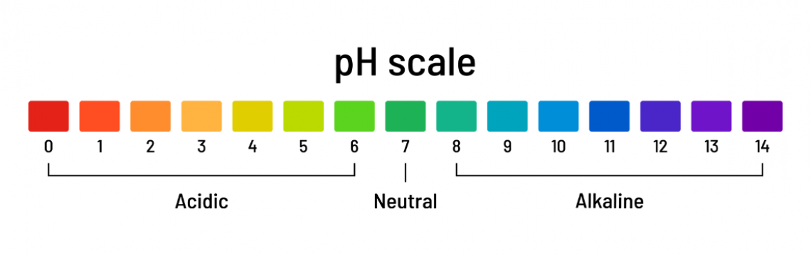 Cystitis_pH scale_plocha